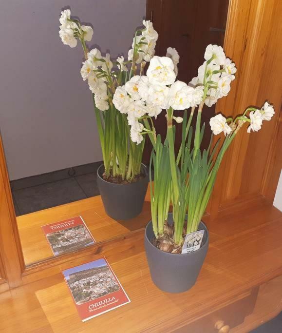 Apartamento Los Narcisos Chulilla Dış mekan fotoğraf